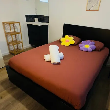 Duplex - Pop Et Colore - Au Coeur Du Centre