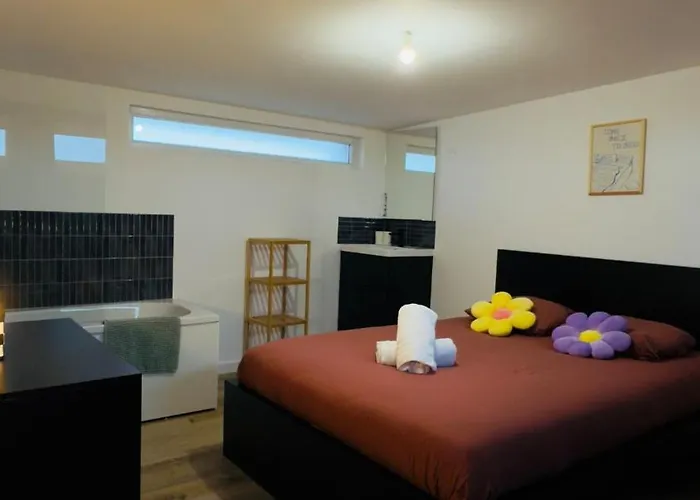 Appartement Duplex - Pop Et Colore - Au Coeur Du Centre