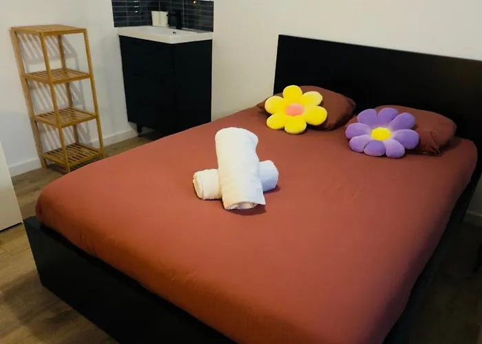 Duplex - Pop Et Colore - Au Coeur Du Centre